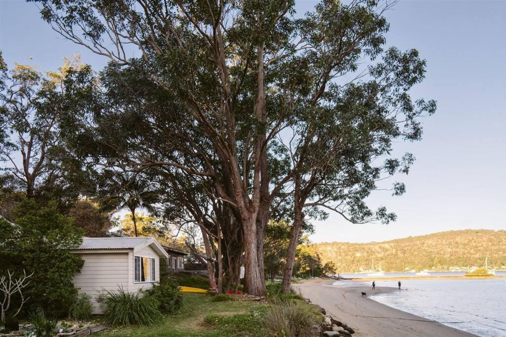 Dangar Beach Studio - Absolute Beach Front Villa Dangar Island Dış mekan fotoğraf